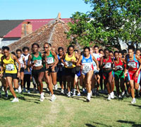 Classement des équipes martiniquaises