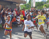 Composition de la Ligue de Martinique