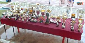 Coupe de France des Conseils Généraux