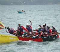 Côte Caraïbe 2006 : Le Bilan