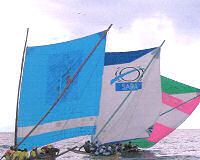 10ème anniversaire de l'office municipal lucéen