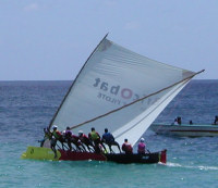 Le Défi du Club des Gommiers : Présentation