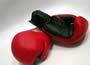 La Boxe féminine récompensée au niveau National
