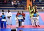 Open Caraïbe Karaté 2017 (1)