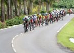 peloton