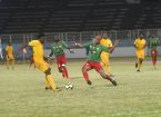 tournoi des 4 (4)