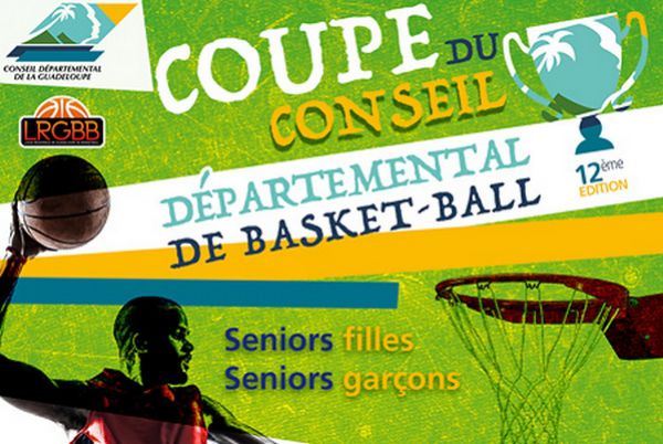 coupe_conseil_departemental