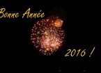 feux dartifice1 - Copie
