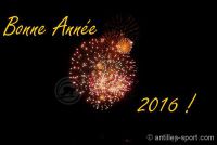 feux dartifice1 - Copie