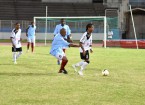 cc excelsior