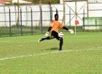 alan marcelin