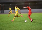 LAF golden lion aiglon