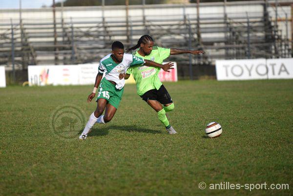 js eucalyptus newclub