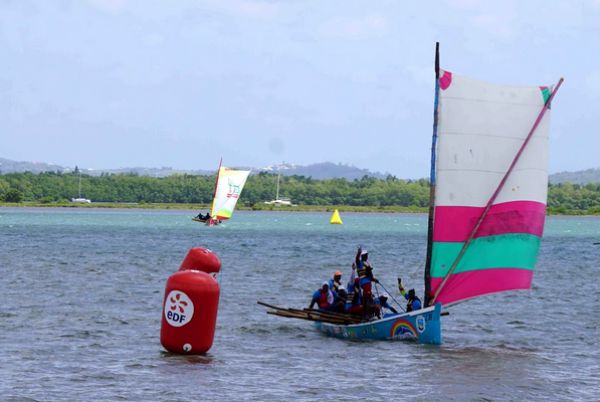 cote caraibe gommier californie