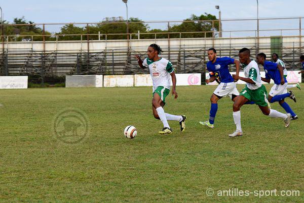 PHR972 J22_js eucalyptus-us riveraine