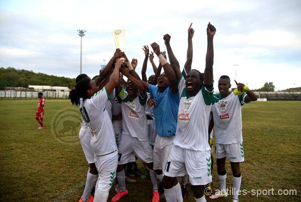 PHR972_JS Eucalyptus champion