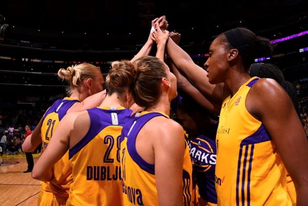 sandrine gruda sharks