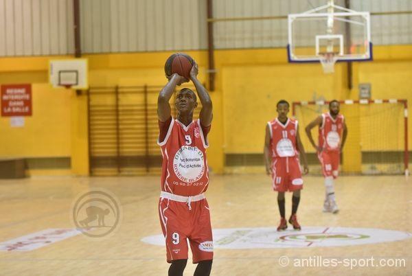 Golden Lion_Mathias Vébobe