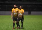 golden lion_biron et parsemain