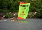 rosette orange 2019