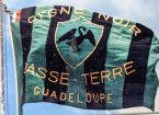 Drapeau Cygne
