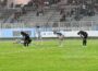 ligue nation concacaf2027_martinique-salvador (1)